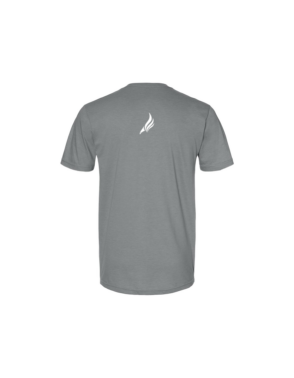 Gray Holographic  T-shirt  Eagles